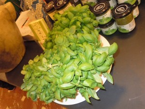 DSCN1325