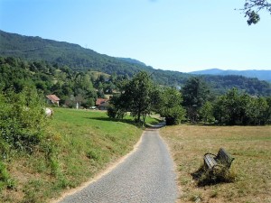 DSCN1680