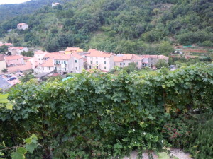 veduta di orco feglino