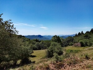 case catalano a bardineto (sv)