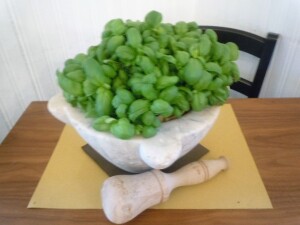 pesto storyteller