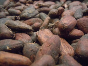fave di cacao