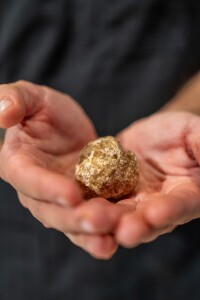 Fiera del Tartufo, Alba. Credits: Lavezzo Studio