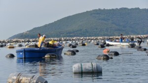 foto tratta dal mio articolo apparso nel 2018 su Liguria Food