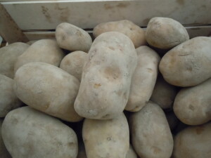 patate dell'appennino genovese