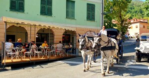 savignone...in carrozza