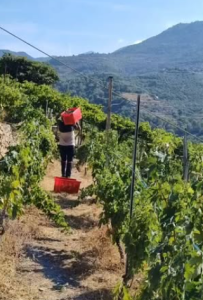 Phot credits: Cantina degli Eroi